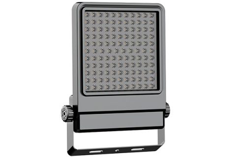 LED Flood light with reflector cup